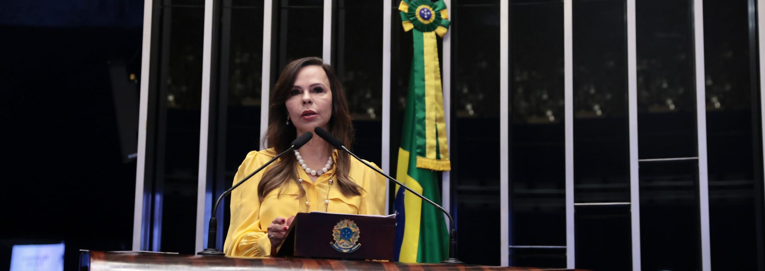 Senadora Professora Dorinha (UNIÃO-TO) (Fotografia: Sidney Lins Jr.)