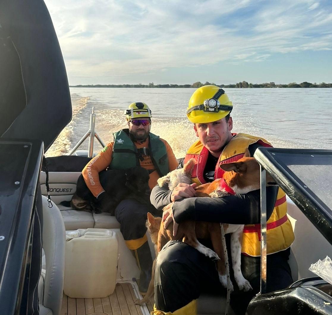 Deputado estadual Rafael viaja com voluntários do GRAD para auxiliar nos resgates de animais vítimas do desastre natural no Rio Grande do Sul