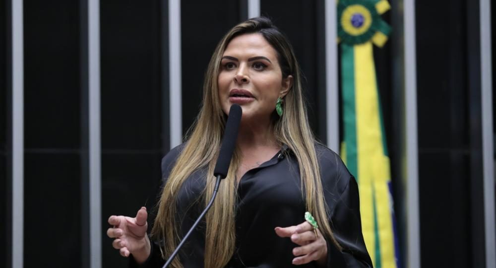 Deputada Federal Silvye Alves (UNIÃO-GO)